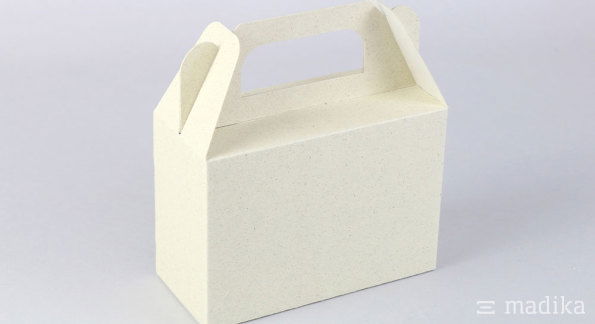 Tragegriffschachtel Graskarton