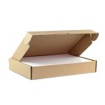 Versandkartons für DIN A4 - 38 mm Höhe