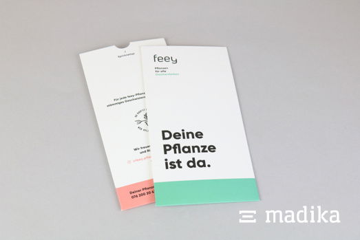 Flachkartonhülle mit Griffloch und ansprechender Bedruckung Flachkartonhülle mit Griffloch und individueller Bedruckung