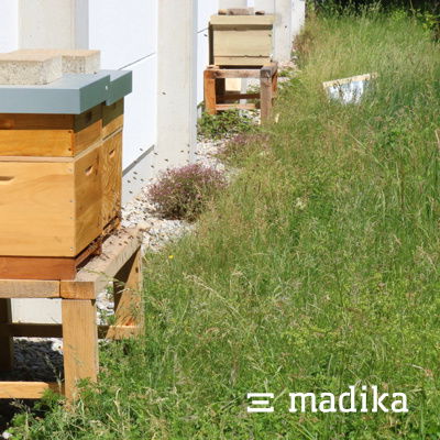 In unserem naturnah angelegten Garten leben auch einige Bienenvölker. Naturnah angelegter Garten madika
