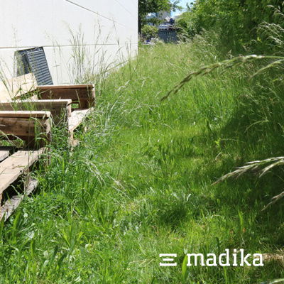 In unserem naturnah angelegten Garten sollen sich alle Lebewesen wohlfühlen! Naturnah angelegter Garten madika.de