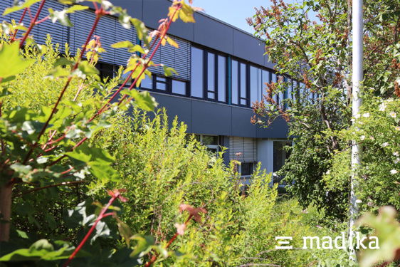 Wildes Grün heißt die Besucher unserer Faltschachteldruckerei madika willkommen. Grüner Garten rund um die Faltschachteldruckerei madika