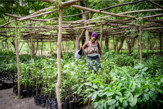 Klimaneutraler Druck bei madika. Klimaneutraler Druck bei madika