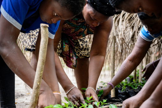 Klimaneutraler Druck bei madika. Klimaneutraler Druck bei madika