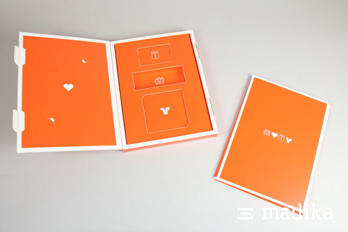 Klappschachtel mit Pantone-Bedruckung Klappschachtel mit Pantone-Bedruckung